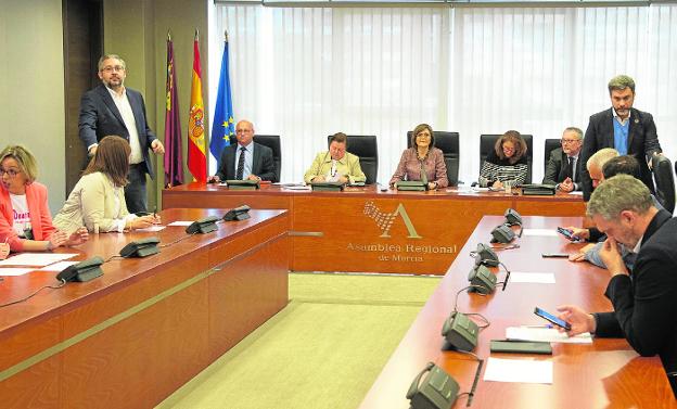 Miembros de la Diputación Permanente de la Asamblea, durante su reunión de ayer. 