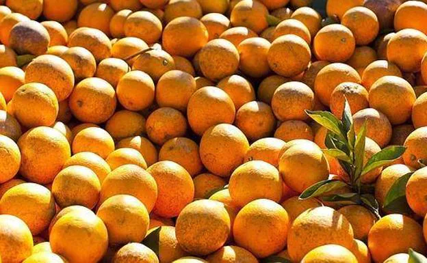 La OCU explica la verdad sobre las naranjas que se venden en los supermercados
