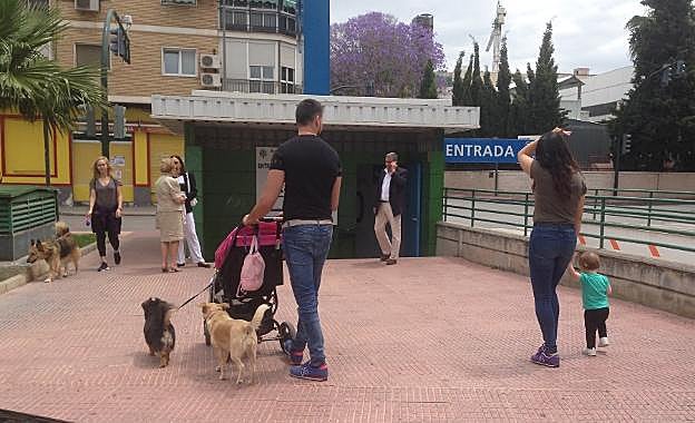 Un joven pasea con un carrito de bebé y dos perros por el barrio de Vistalegre, en Murcia. 