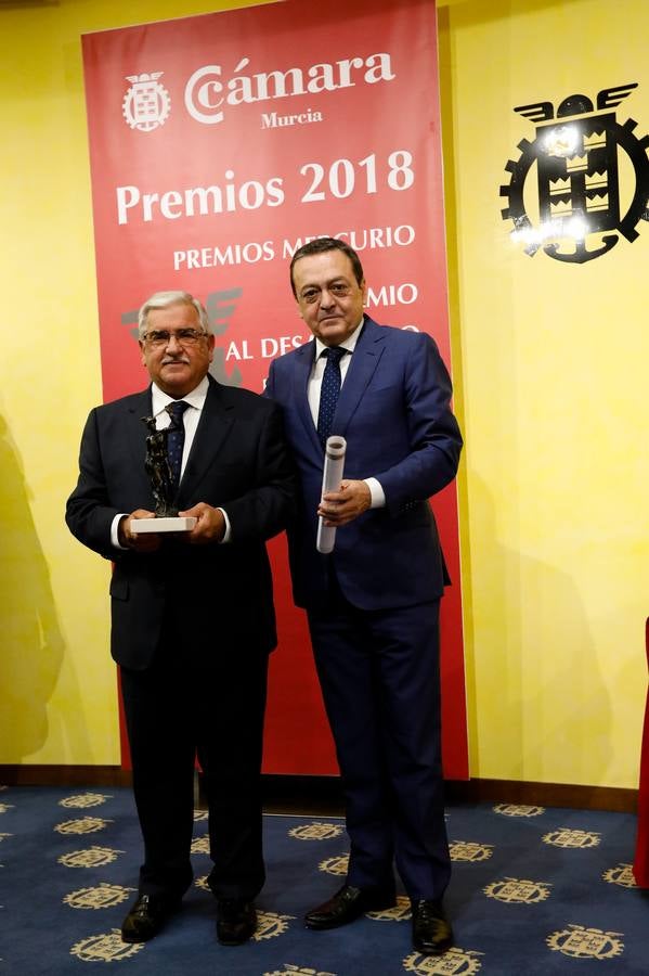 José Moreno recibe el galardón al Desarrollo Empresarial y otras diez firmas, los Mercurio, que cumplen 40 años