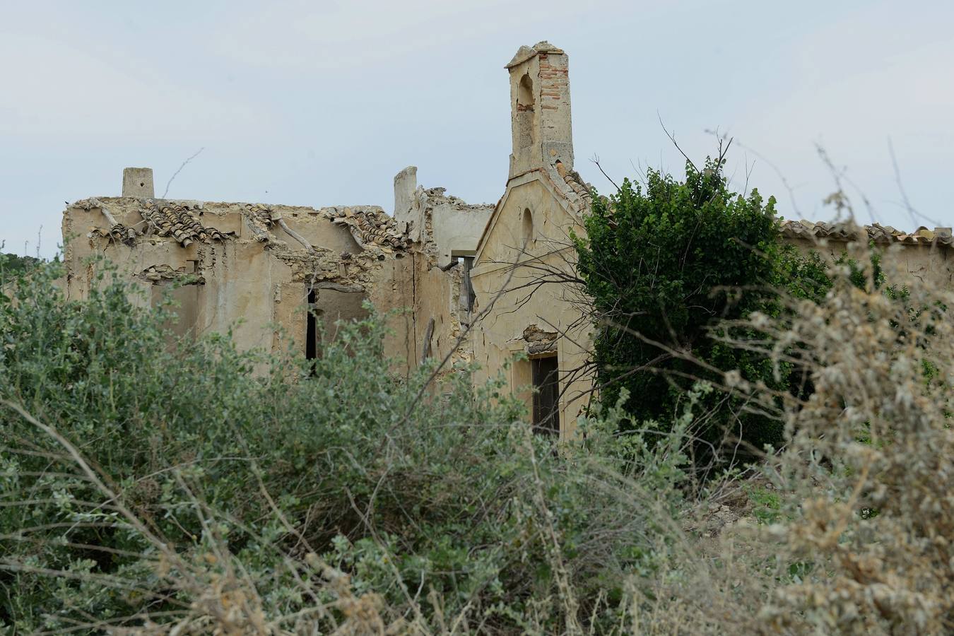 La aldea de Aledo sucumbe al paso del tiempo, devorada por el olvido y la vegetación.