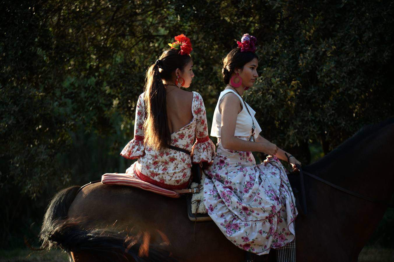 Cientos de personas participan en la romería de Pentecostés 2019, donde los peregrinos surcan los caminos hacia la aldea almonteña de El Rocío (Huelva) para honrar a la Virgen del Rocío.