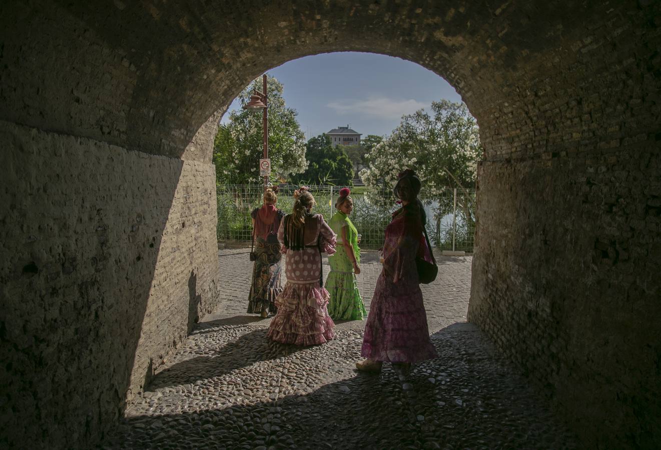 Cientos de personas participan en la romería de Pentecostés 2019, donde los peregrinos surcan los caminos hacia la aldea almonteña de El Rocío (Huelva) para honrar a la Virgen del Rocío.
