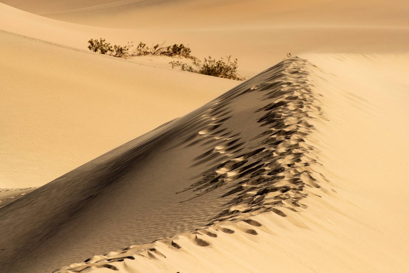 Una turista camina por las dunas de Mesquite, en el Valle de la Muerte, cercano a Furnace Creek, en California, Estados Unidos. El Valle de la Muerte atrajo a más de 1,65 millones de visitantes en 2018.