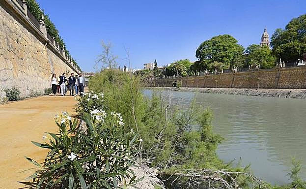 El alcalde de Murcia y varios de sus concejales, el martes, recorriendo el nuevo paseo de Murcia Río.