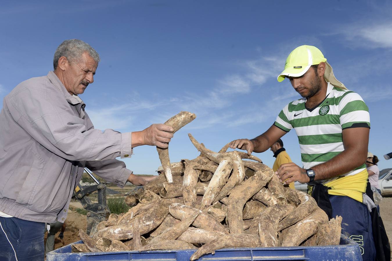 El compuesto, rico en microorganismos, se mezcla con agua y se reparte sobre el suelo 