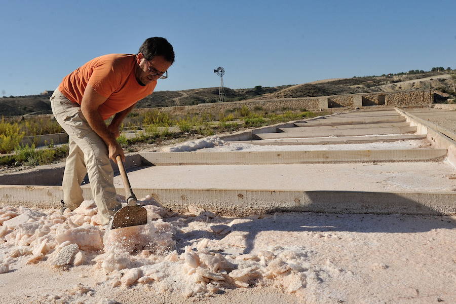Los 53 humedales de la Región se incorporan al inventario nacional que impulsa el Ministerio para la Transición Ecológica