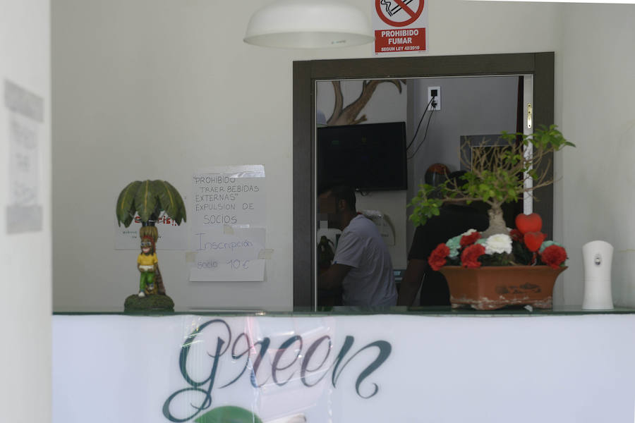 La Policía Nacional intervino 2.000 plantas de marihuana, encontradas en domicilios de Corvera, San José de la Vega, Santomera, Espinardo, La Alberca y La Arboleja
