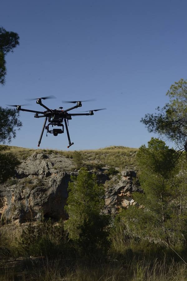 Geofísica, genética, paleobotánica y zoología ayudan a profundizar en el conocimiento de los orígenes del hombre.