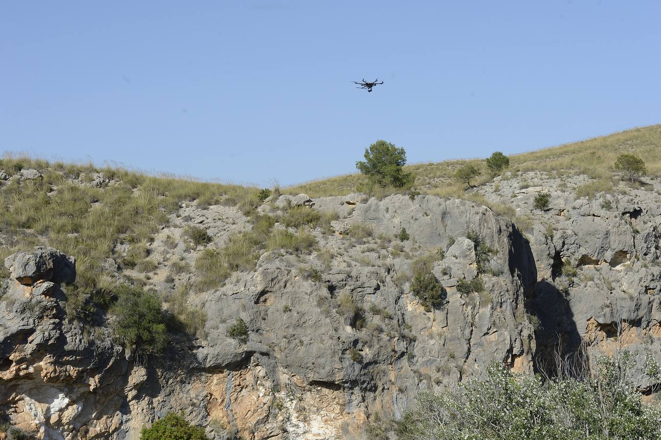 Geofísica, genética, paleobotánica y zoología ayudan a profundizar en el conocimiento de los orígenes del hombre.