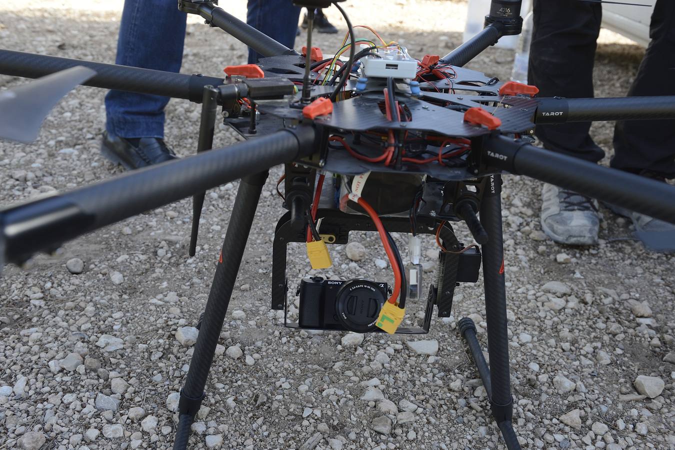 Geofísica, genética, paleobotánica y zoología ayudan a profundizar en el conocimiento de los orígenes del hombre.