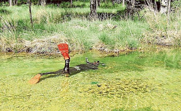 Javier Murcia toma fotos y graba imágenes de la fauna del río Madera, en Jaén.