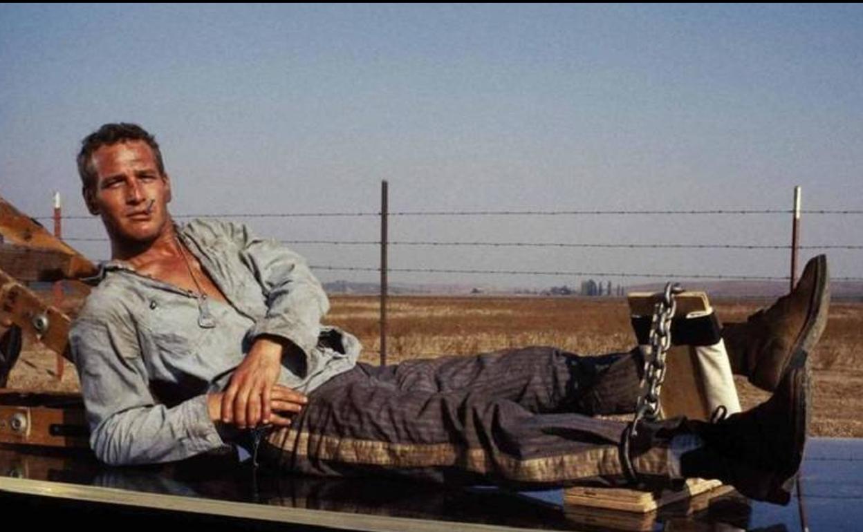 'La leyenda del indomable', en la Filmoteca Regional