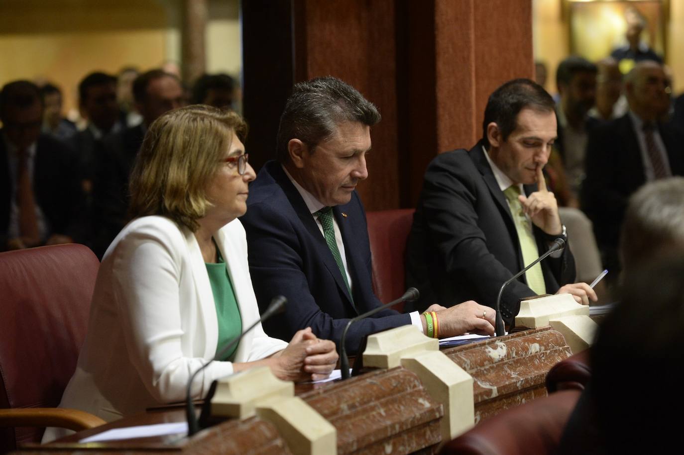 El candidato popular cierra, a la segunda, su elección como jefe del Ejecutivo regional, gracias al acuerdo programático cerrado la pasada semana con la formación naranja y el partido de Abascal