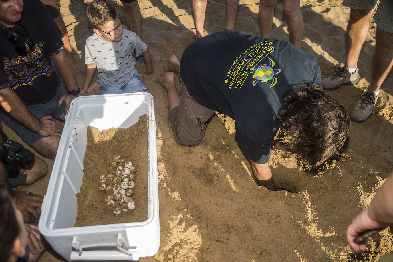 Medio Ambiente custodia en Cala Arturo el primer anidamiento de esta especie en el litoral de la Región en más de cien años.