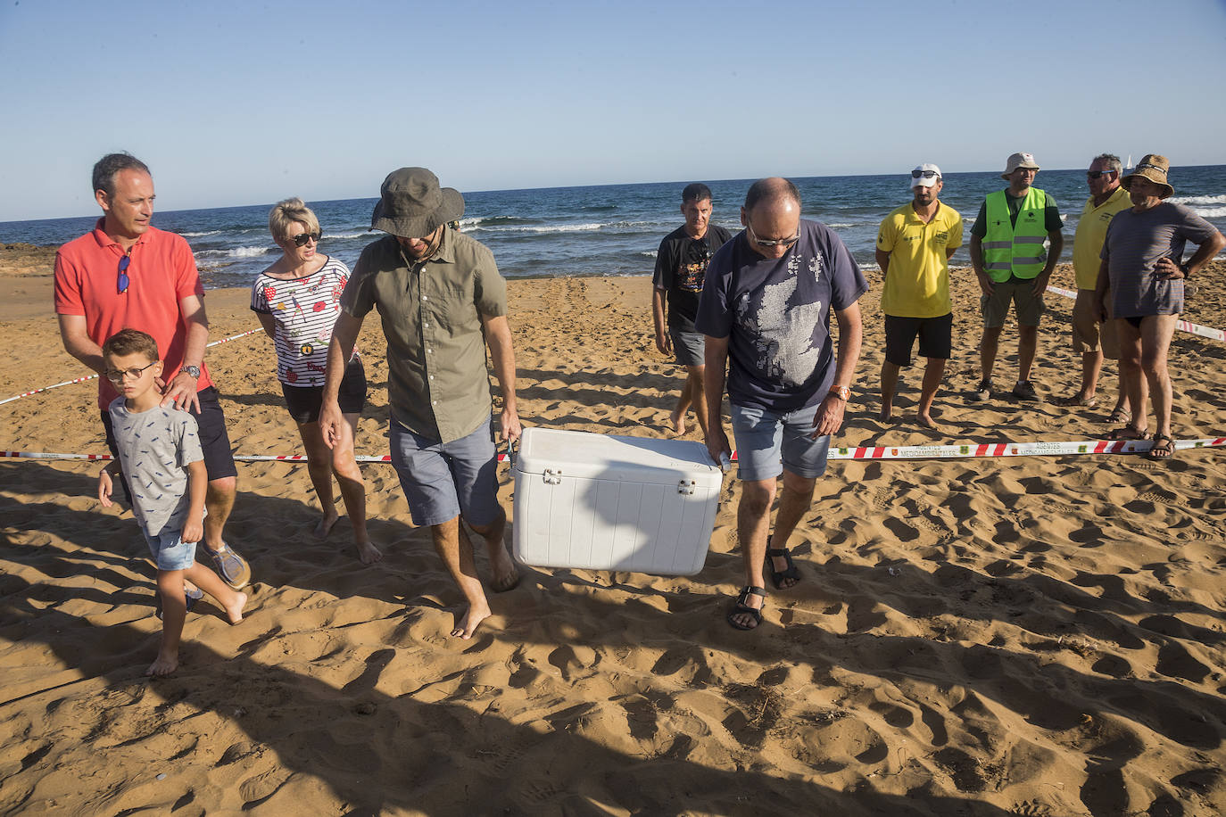 Medio Ambiente custodia en Cala Arturo el primer anidamiento de esta especie en el litoral de la Región en más de cien años.