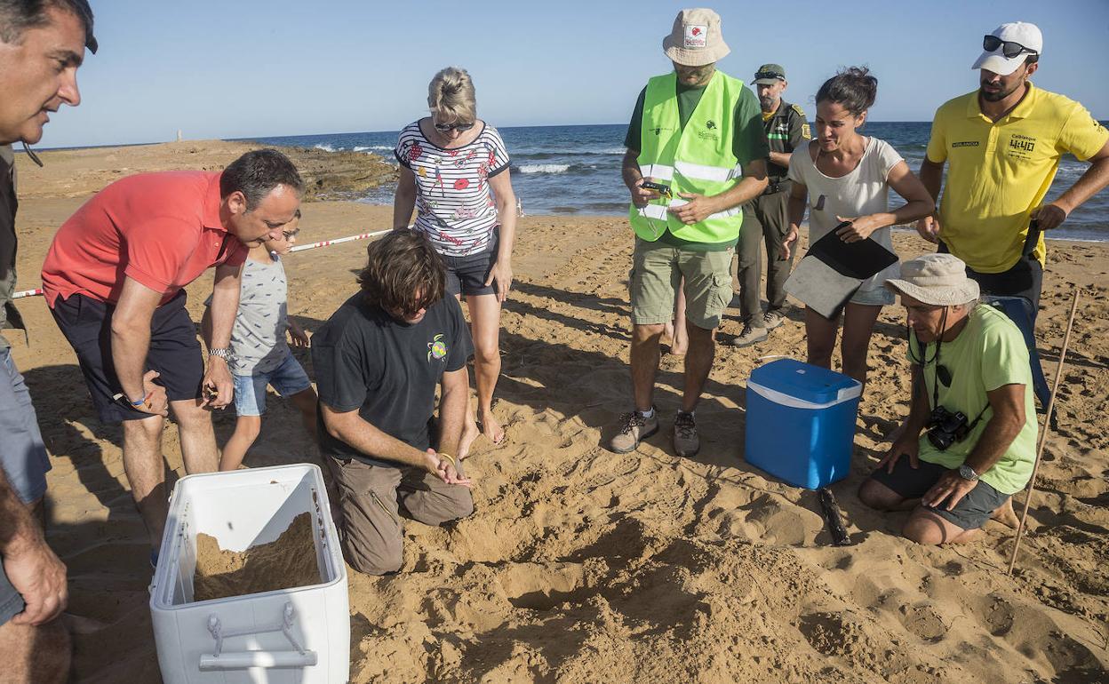 El consejero de Medio Ambiente y la directora general de Medio Natural supervisan la apertura del nido, con el director de ANSE y los integrantes del dispositivo de alerta.