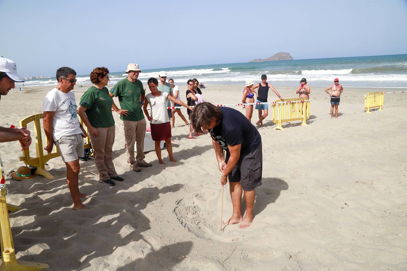 Los expertos no encuentran huevos en la playa, frente a Isla Grosa, después de dos horas de búsqueda en la arena.