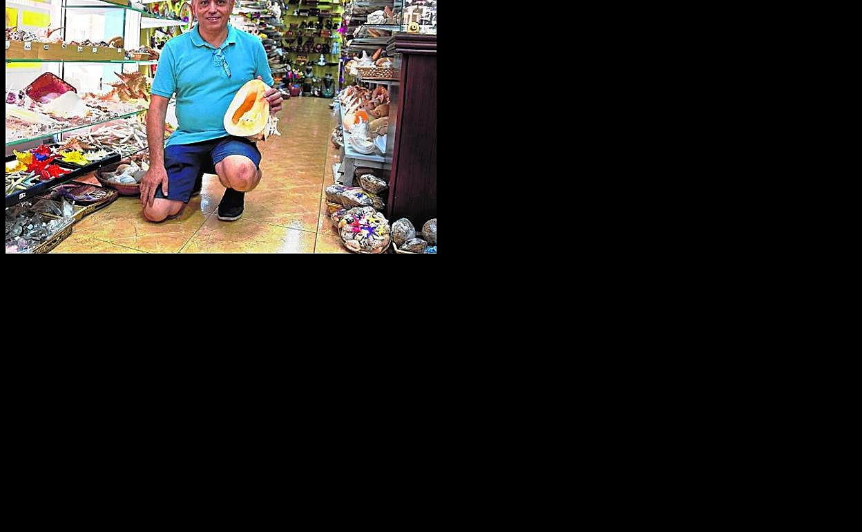 Luis Rojo con una caracola 'Cassis cornuta' en su tienda Mar de Coral, en el centro de Águilas. 