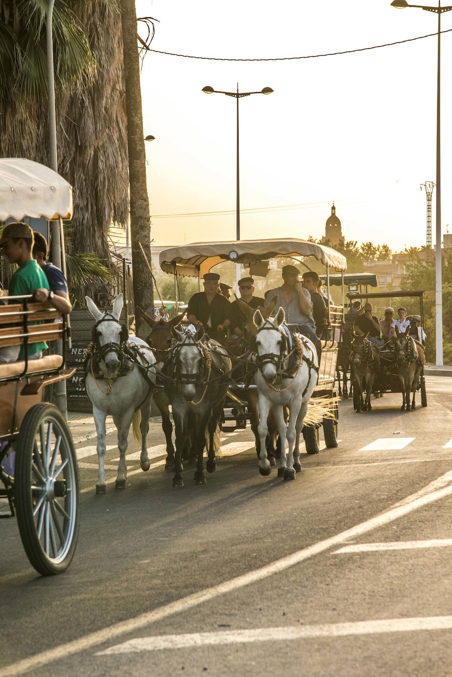 Más de cincuenta carros parten desde la Federación de Peñas Huertanas, en la avenida Primero de Mayo, con rumbo al paseo marítimo de Los Alcázares