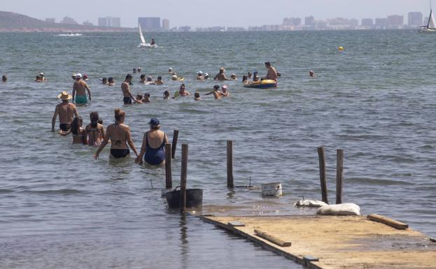 Imagen principal - 1. Unos bañistas entran en el agua, tras cruzar una pasarela improvisada con tablones para evitar la zona de lodos, anteayer en la playa de Los Urrutias. | 2. Un árbol caído en la calle Antonio Reverte de Los Urrutias. | 3. Fango, en la zona de apartamentos Vistamar, en Los Urrutias.