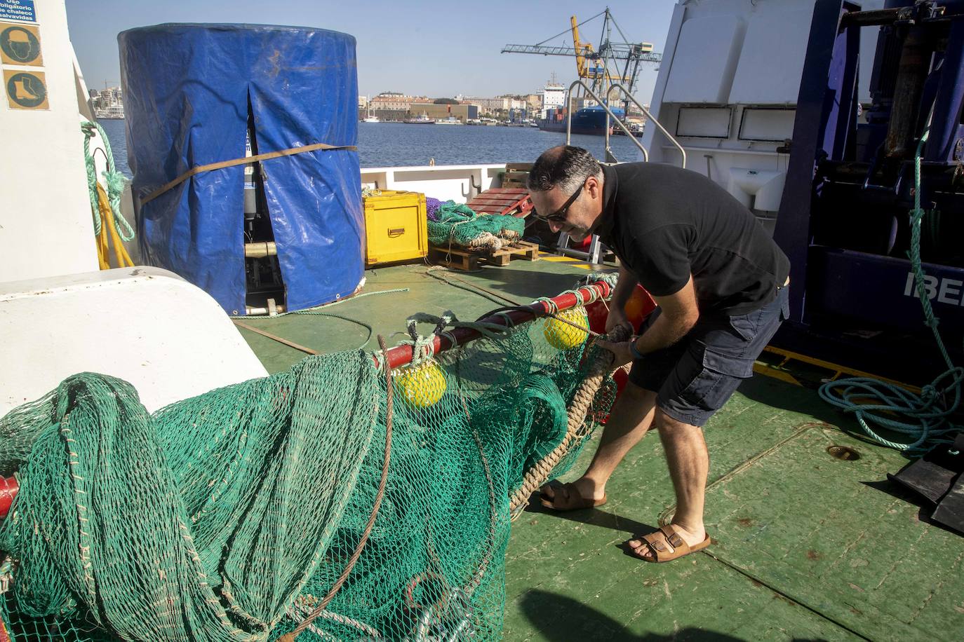 Científicos del IEO y de la Universidad de Alicante documentan la existencia de especies vulnerables en los montes submarinos de Torrevieja a Águilas para impulsar su protección