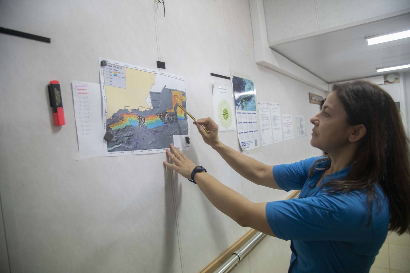 Científicos del IEO y de la Universidad de Alicante documentan la existencia de especies vulnerables en los montes submarinos de Torrevieja a Águilas para impulsar su protección