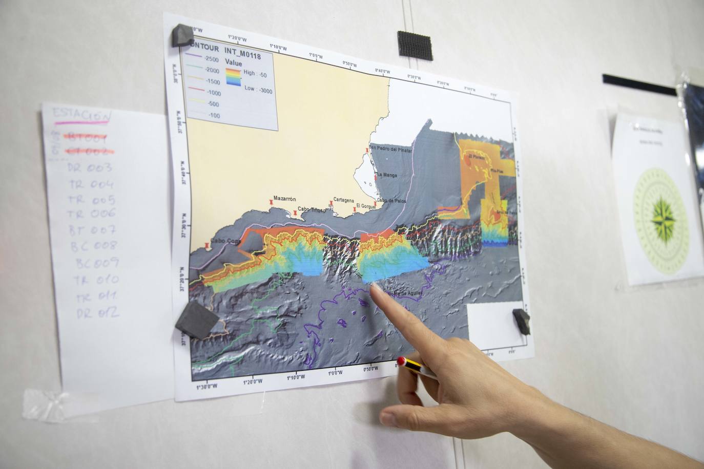 Científicos del IEO y de la Universidad de Alicante documentan la existencia de especies vulnerables en los montes submarinos de Torrevieja a Águilas para impulsar su protección
