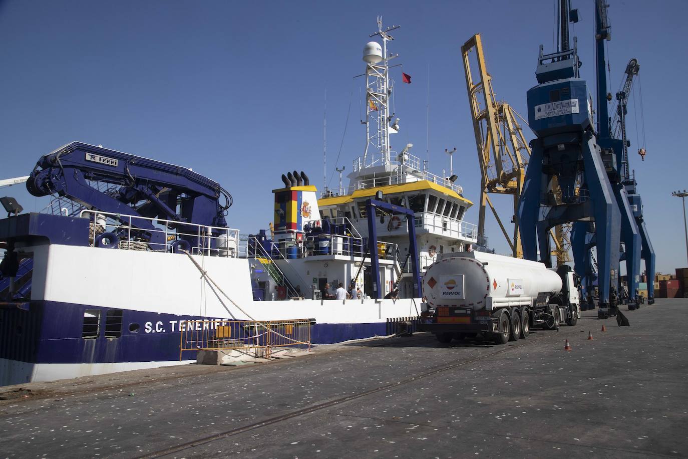 Científicos del IEO y de la Universidad de Alicante documentan la existencia de especies vulnerables en los montes submarinos de Torrevieja a Águilas para impulsar su protección