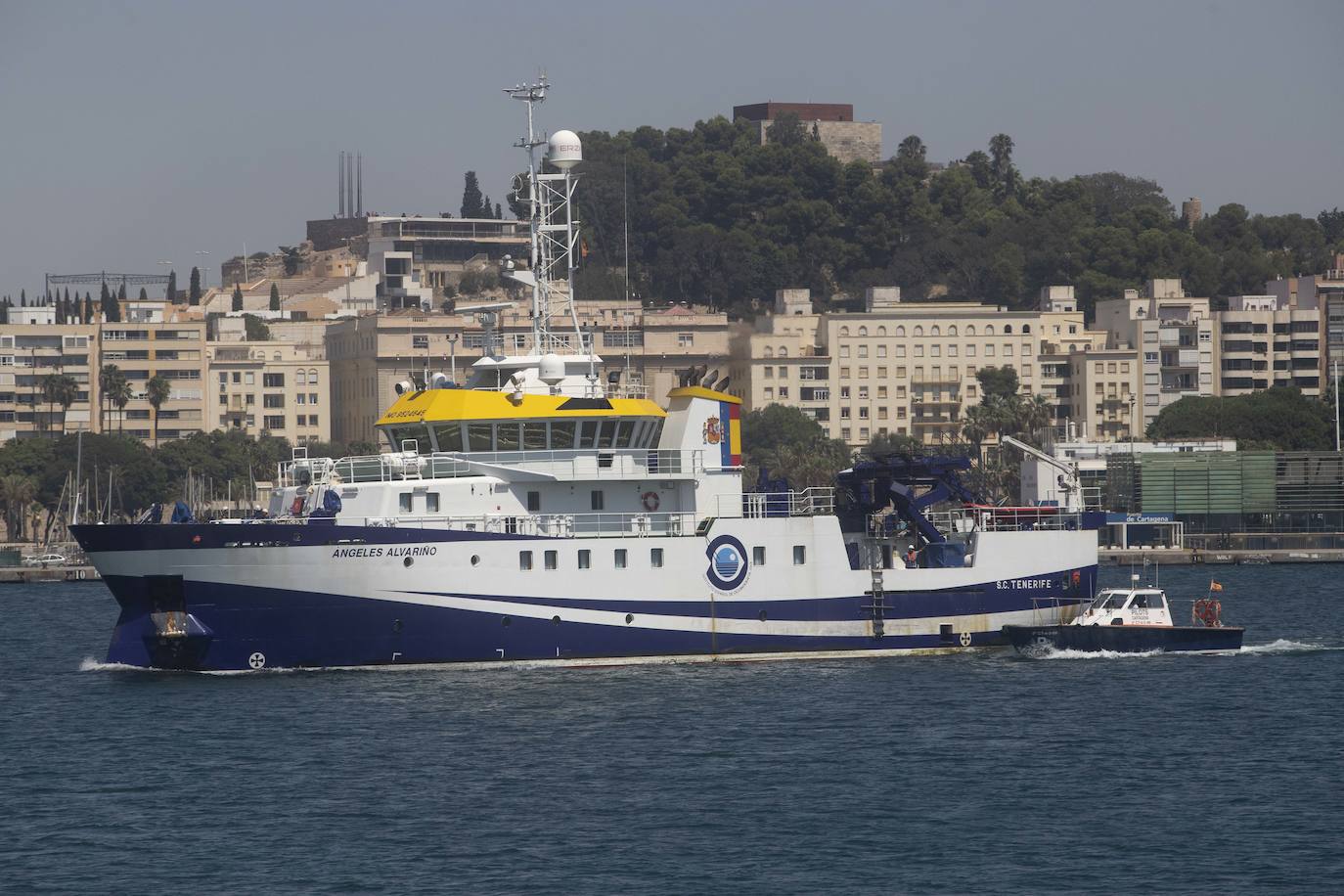 Científicos del IEO y de la Universidad de Alicante documentan la existencia de especies vulnerables en los montes submarinos de Torrevieja a Águilas para impulsar su protección