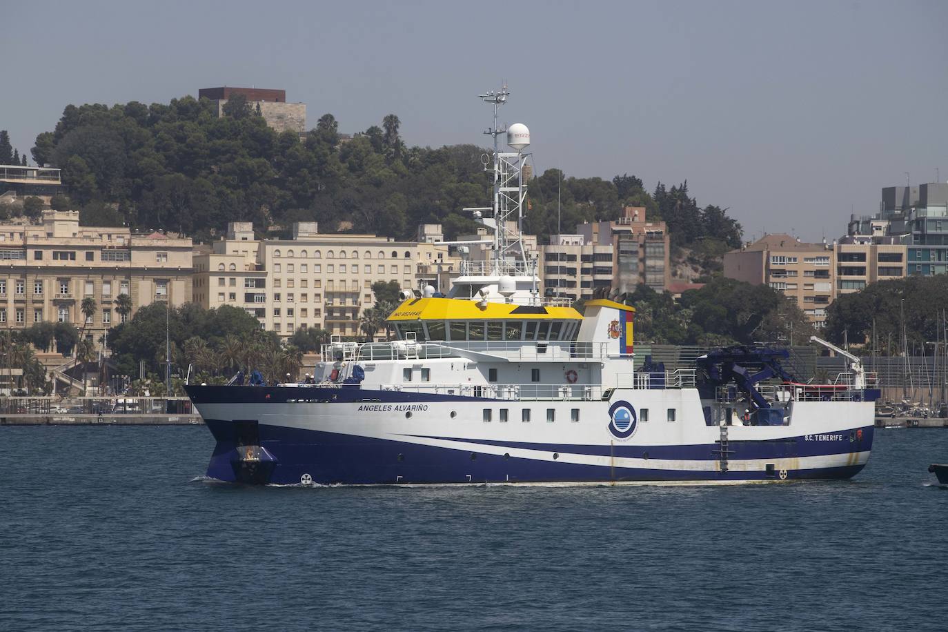 Científicos del IEO y de la Universidad de Alicante documentan la existencia de especies vulnerables en los montes submarinos de Torrevieja a Águilas para impulsar su protección