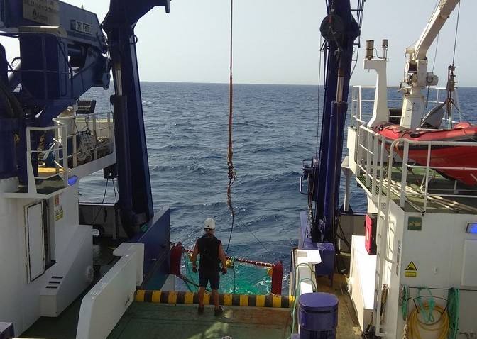 Científicos del IEO y de la Universidad de Alicante documentan la existencia de especies vulnerables en los montes submarinos de Torrevieja a Águilas para impulsar su protección