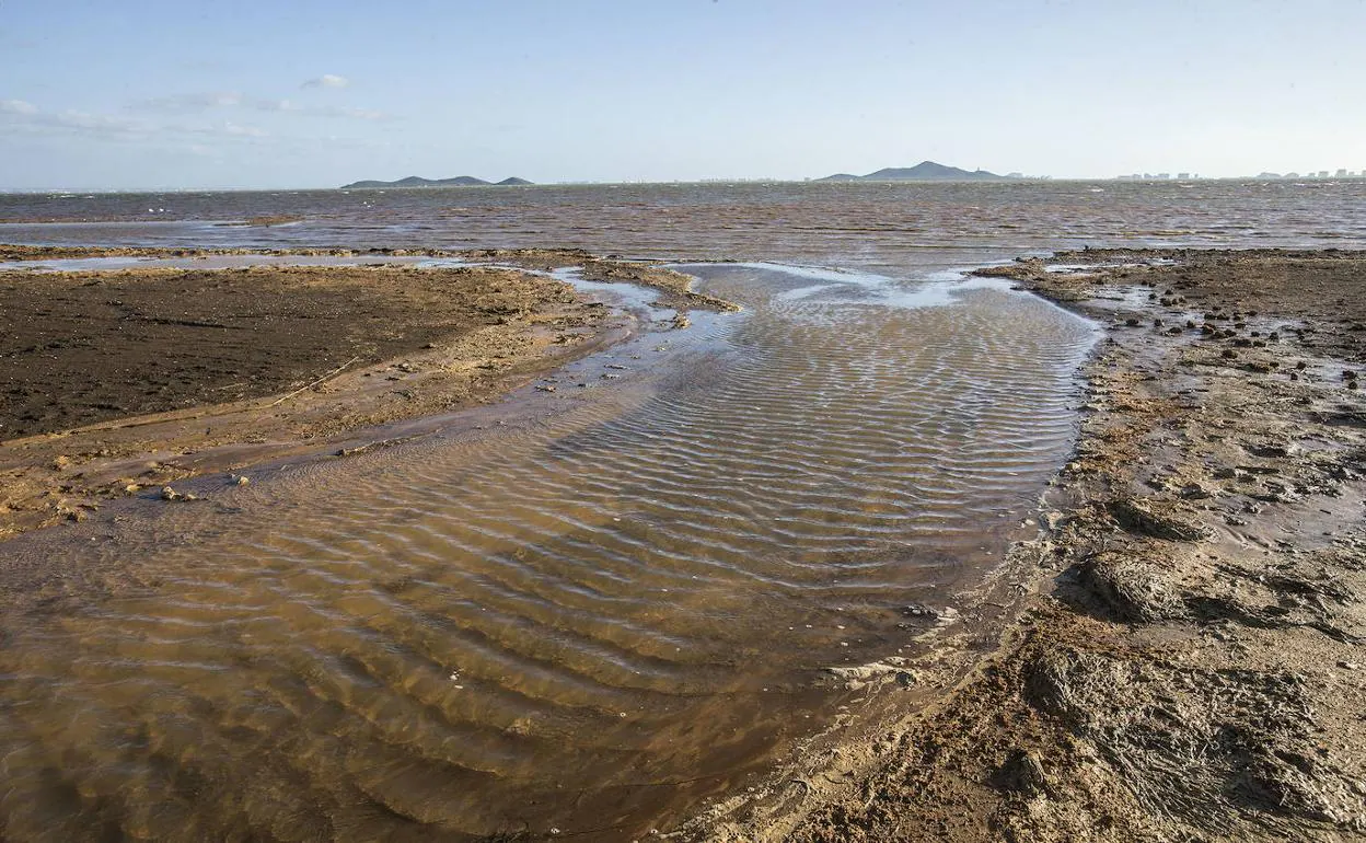 Contaminación en la rambla del Beal, en su desembocadura en el Mar Menor, en una imagen de archivo.