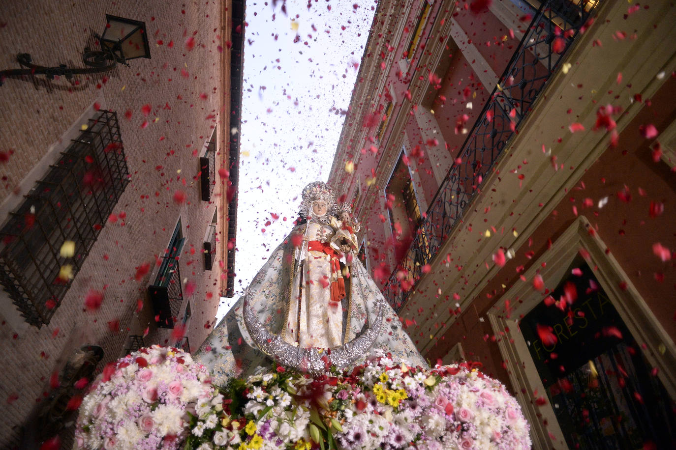 Miles de devotos acompañaron a La Patrona hasta la plaza Cardenal Belluga, donde fue recibida por una petalada formada por 10.000 pétalos de rosa