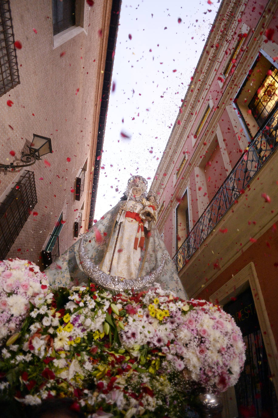 Miles de devotos acompañaron a La Patrona hasta la plaza Cardenal Belluga, donde fue recibida por una petalada formada por 10.000 pétalos de rosa