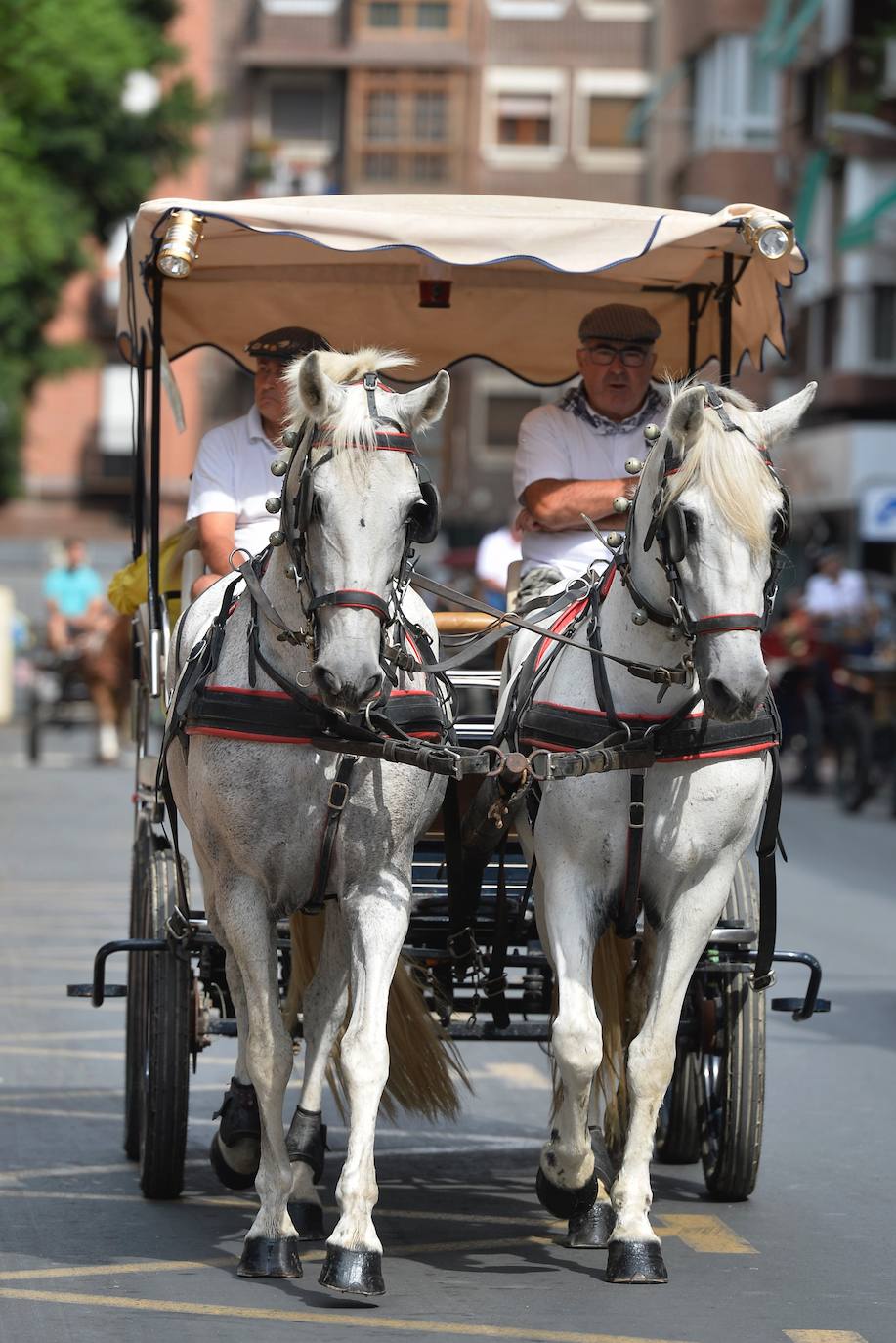 Se han repartido 700 bocadillos, cerveza Estrella de Levante y patatas 'Acho' entre el público asistente.