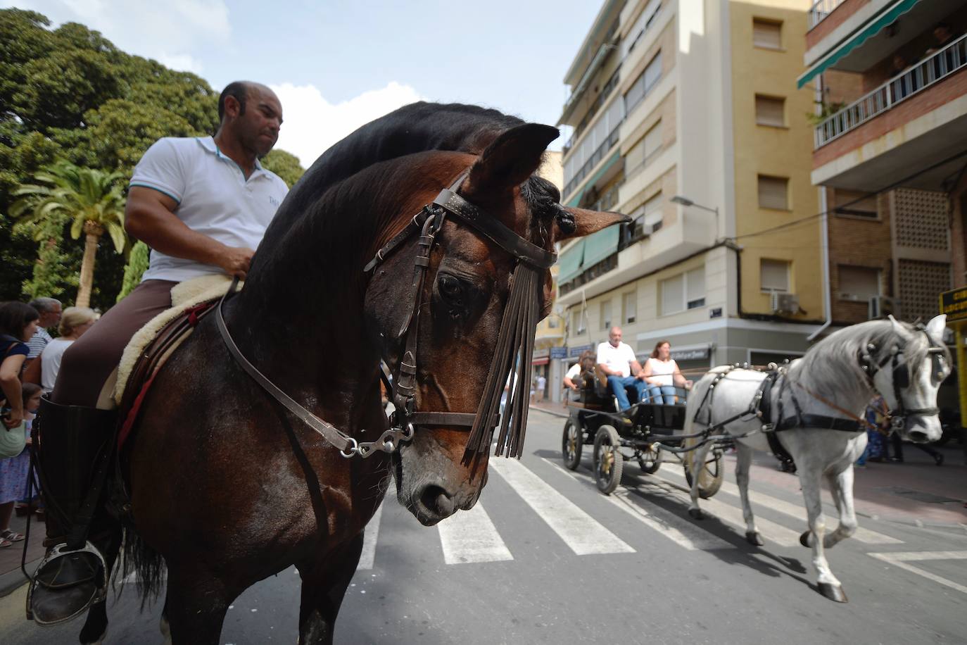Se han repartido 700 bocadillos, cerveza Estrella de Levante y patatas 'Acho' entre el público asistente.