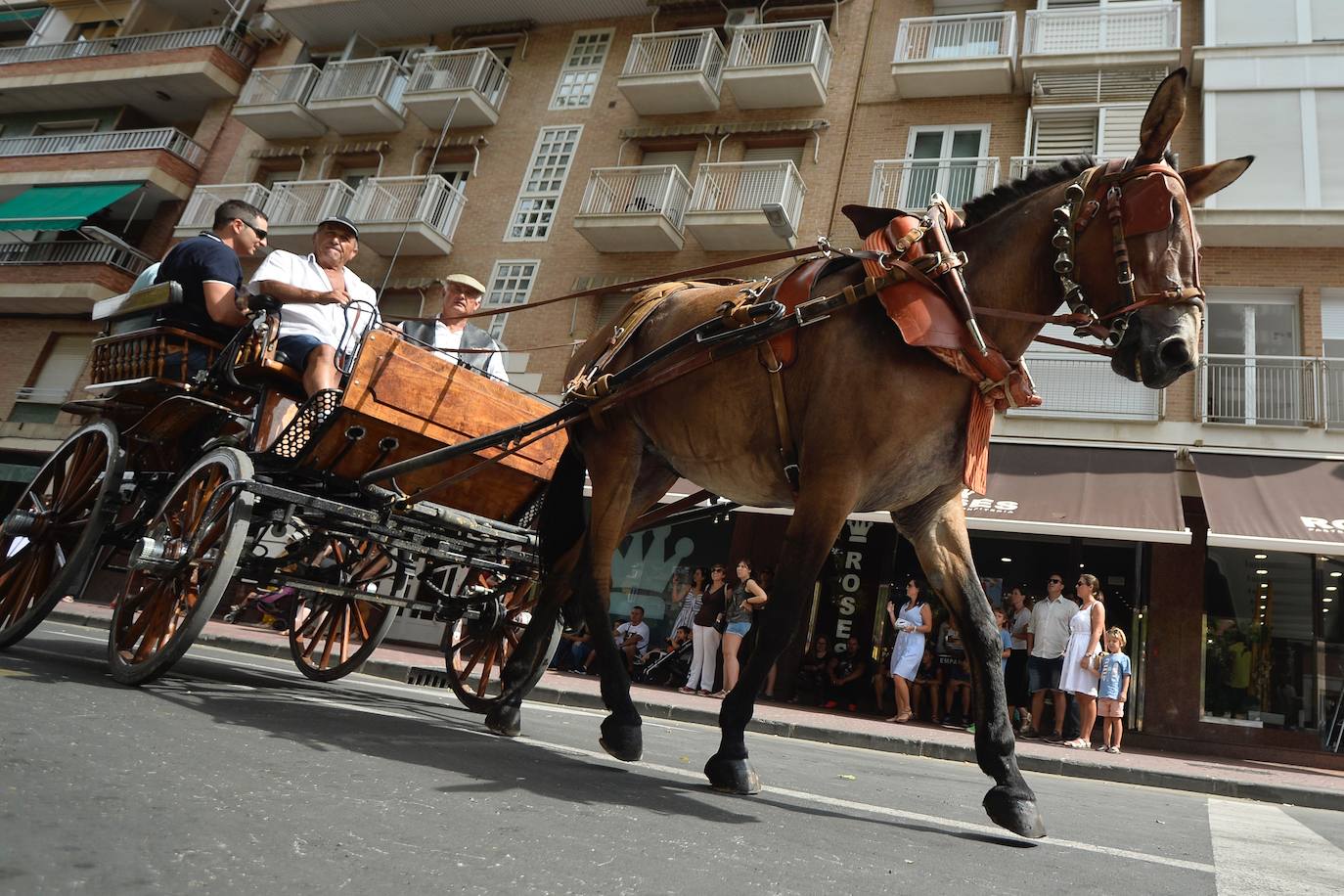 Se han repartido 700 bocadillos, cerveza Estrella de Levante y patatas 'Acho' entre el público asistente.