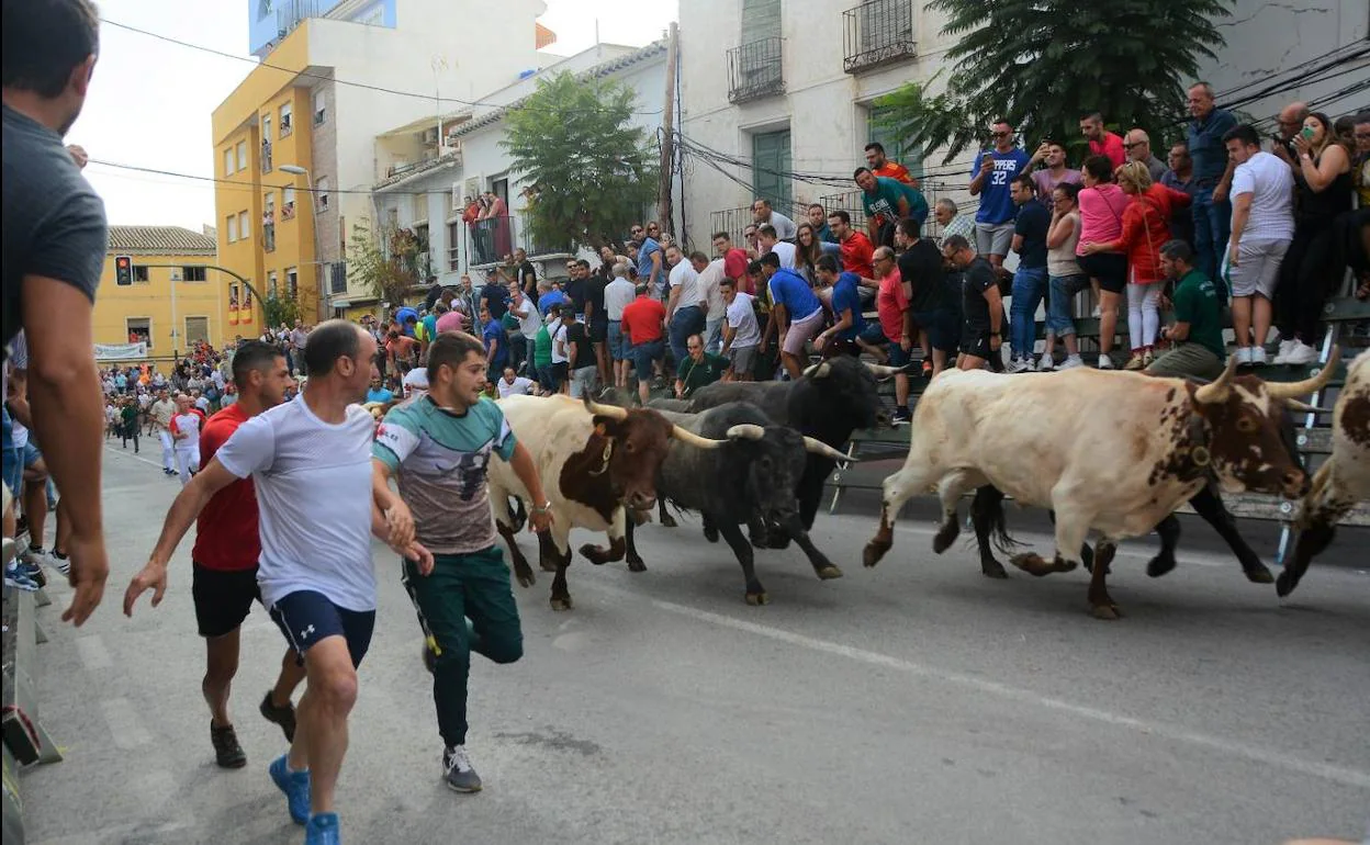 Los corredores junto a los Miura, este domingo, en Calasparra.