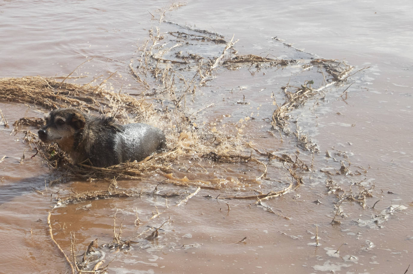 El centro de Cartagena y Los Urrutias también sufrieron notablemente los efectos de las inundaciones
