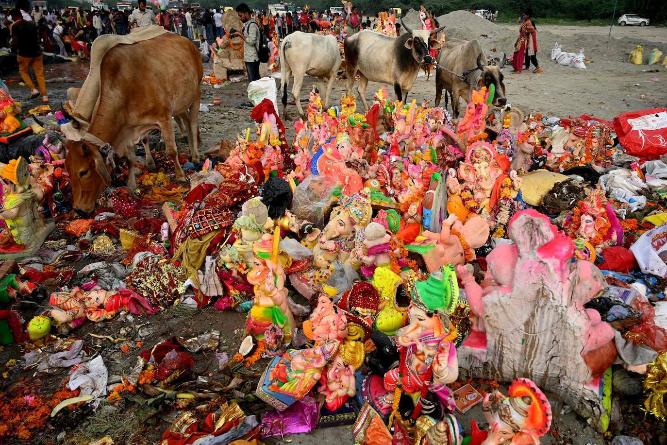 Indios devotos emergen en el mar Arábigo al dios con cabeza de elefante Ganesha durante la celebración del festival Ganesh Chaturthi, en Bombay (India). Esta celebración tiene lugar el cuarto día de la primera quincena del mes hindú Bhaadrapa, una jornada que coincide con el aniversario del nacimiento de Ganesha, hijo de Shiva y Parvati.