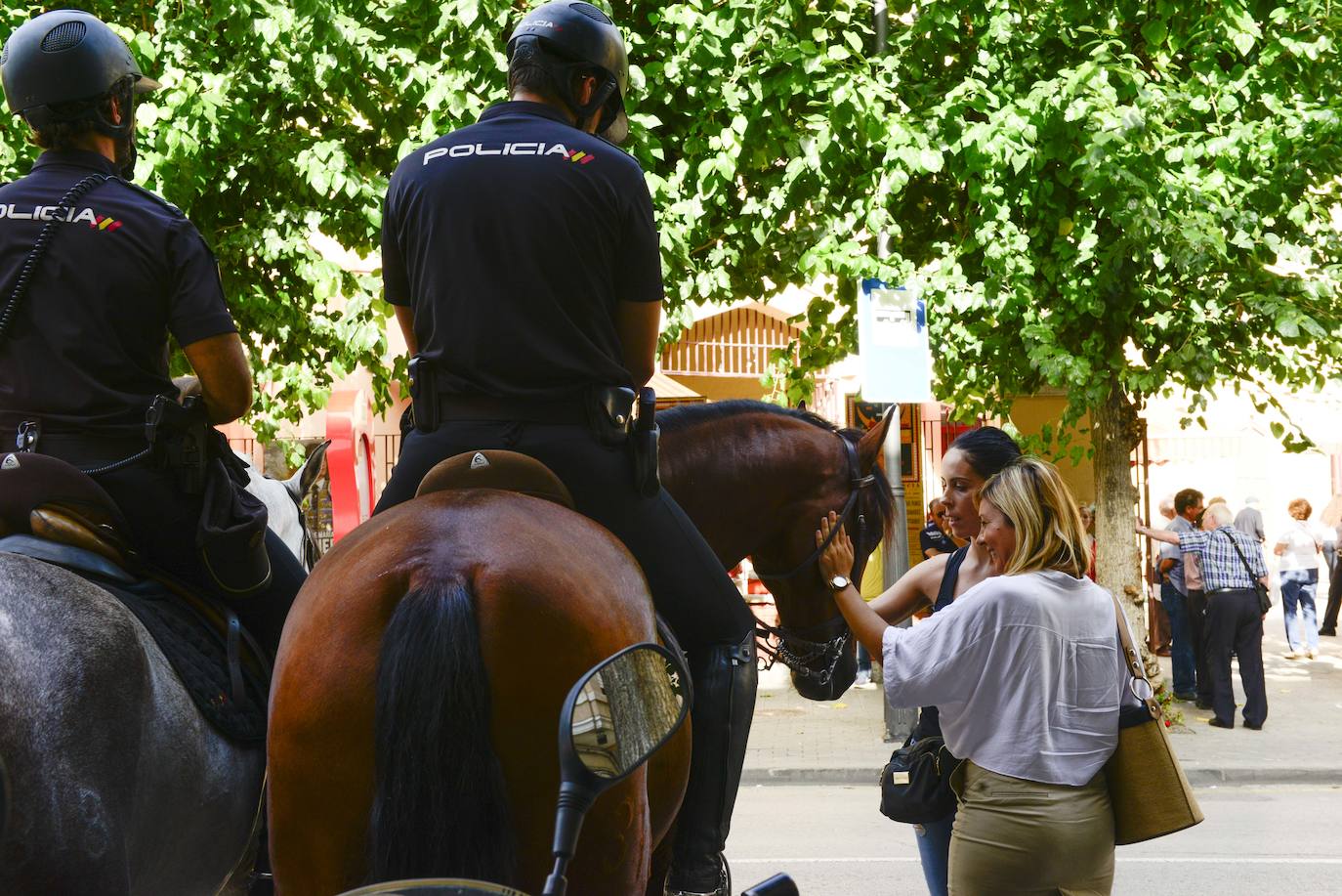 Seis ejemplares de la Unidad Especial de Caballería de la Policía Nacional causan impresión en la puerta de la Plaza de Toros en la primera corrida de la feria.