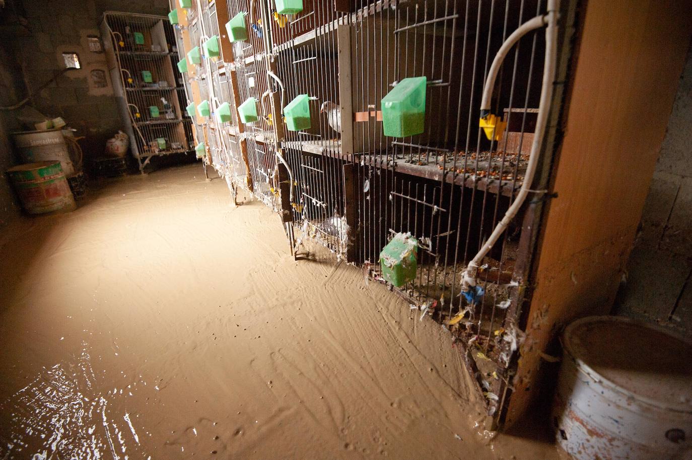 Recorrido por las localidades de Alquerías, Beniel y Llano de Brujas, donde el temporal causó cuantiosos destrozos