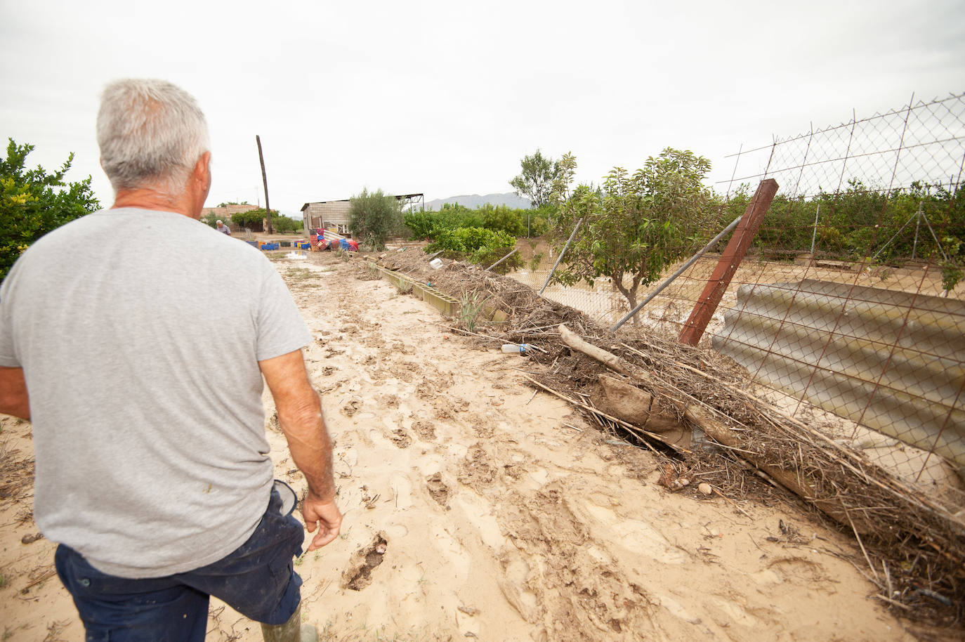 Recorrido por las localidades de Alquerías, Beniel y Llano de Brujas, donde el temporal causó cuantiosos destrozos
