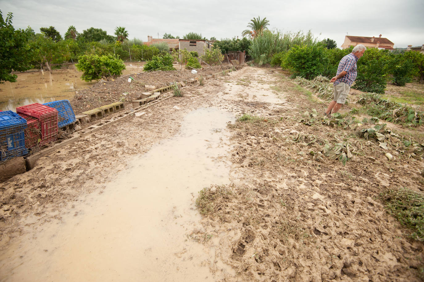 Recorrido por las localidades de Alquerías, Beniel y Llano de Brujas, donde el temporal causó cuantiosos destrozos