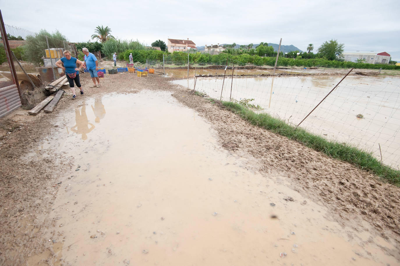 Recorrido por las localidades de Alquerías, Beniel y Llano de Brujas, donde el temporal causó cuantiosos destrozos