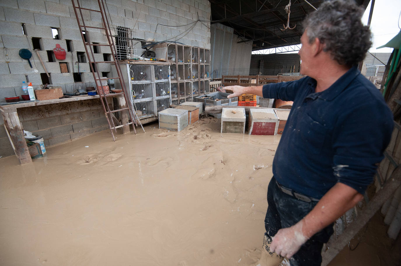 Recorrido por las localidades de Alquerías, Beniel y Llano de Brujas, donde el temporal causó cuantiosos destrozos