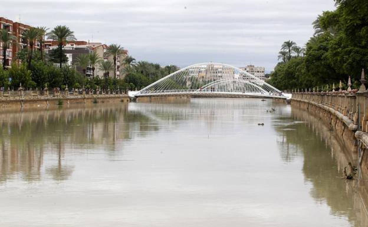 El río Segura, el pasado sábado, después de que bajara el nivel del agua a su paso por la ciudad de Murcia.