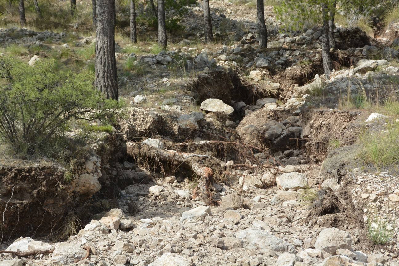 El Ayuntamiento de Cieza ha aprobado solicitar al Consejo de Ministros la declaración de su término Municipal así como del resto de municipios de la Región afectados, como zona afectada gravemente por una emergencia de protección civil.