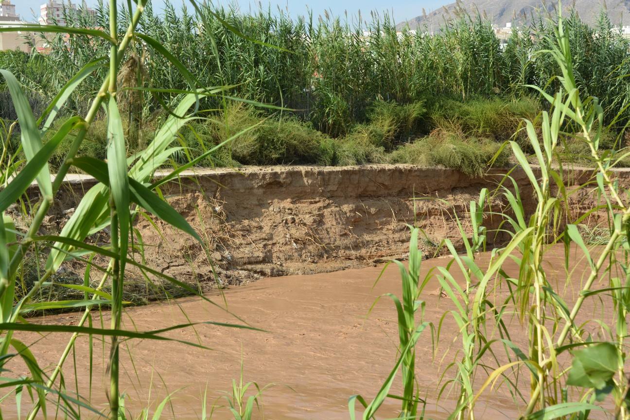 El Ayuntamiento de Cieza ha aprobado solicitar al Consejo de Ministros la declaración de su término Municipal así como del resto de municipios de la Región afectados, como zona afectada gravemente por una emergencia de protección civil.